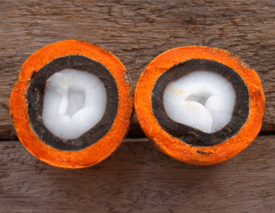 TUCUMA BUTTER